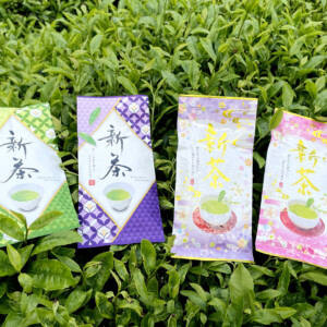 2024年、新茶発売開始