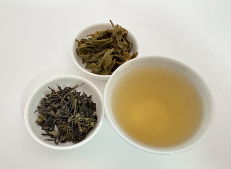 釜炒り烏龍茶 水色