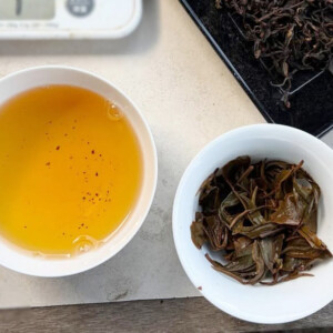春摘み紅茶