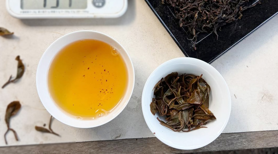 春摘み紅茶